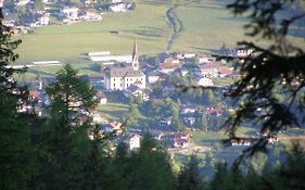 Haus Pinnistor